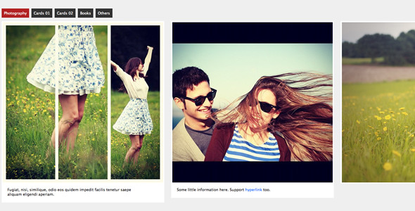 jQuery Multiple Scroll Portfolio Gallery - CodeCanyon Item for Sale