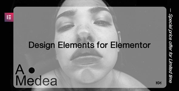 Lite | Amedea - Unique Design Elements - CodeCanyon Item for Sale