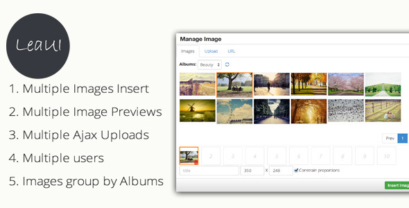 TinyMCE4 Album Image Manager - CodeCanyon Item for Sale