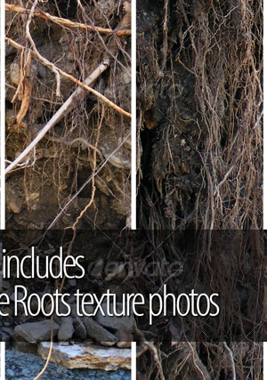 Roots, Textures | GraphicRiver