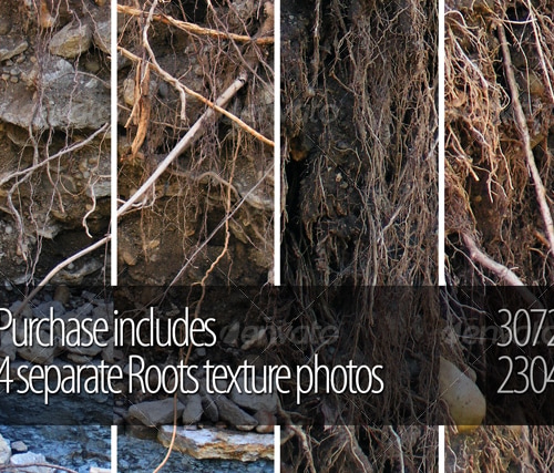 Roots, Textures | GraphicRiver