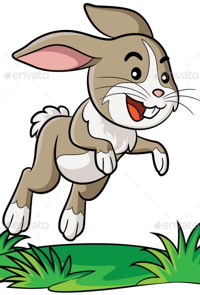 Rabbit Cartoon, Vectors | GraphicRiver