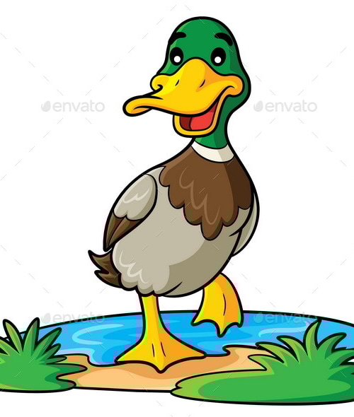 Duck Cartoon, Vectors | GraphicRiver