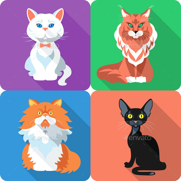 Set Cat Icon Flat Design , Vectors | GraphicRiver