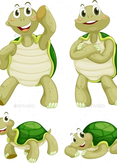 Turtles , Vectors | GraphicRiver