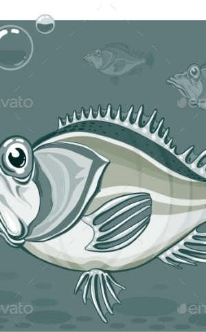 Fish, Vectors | GraphicRiver