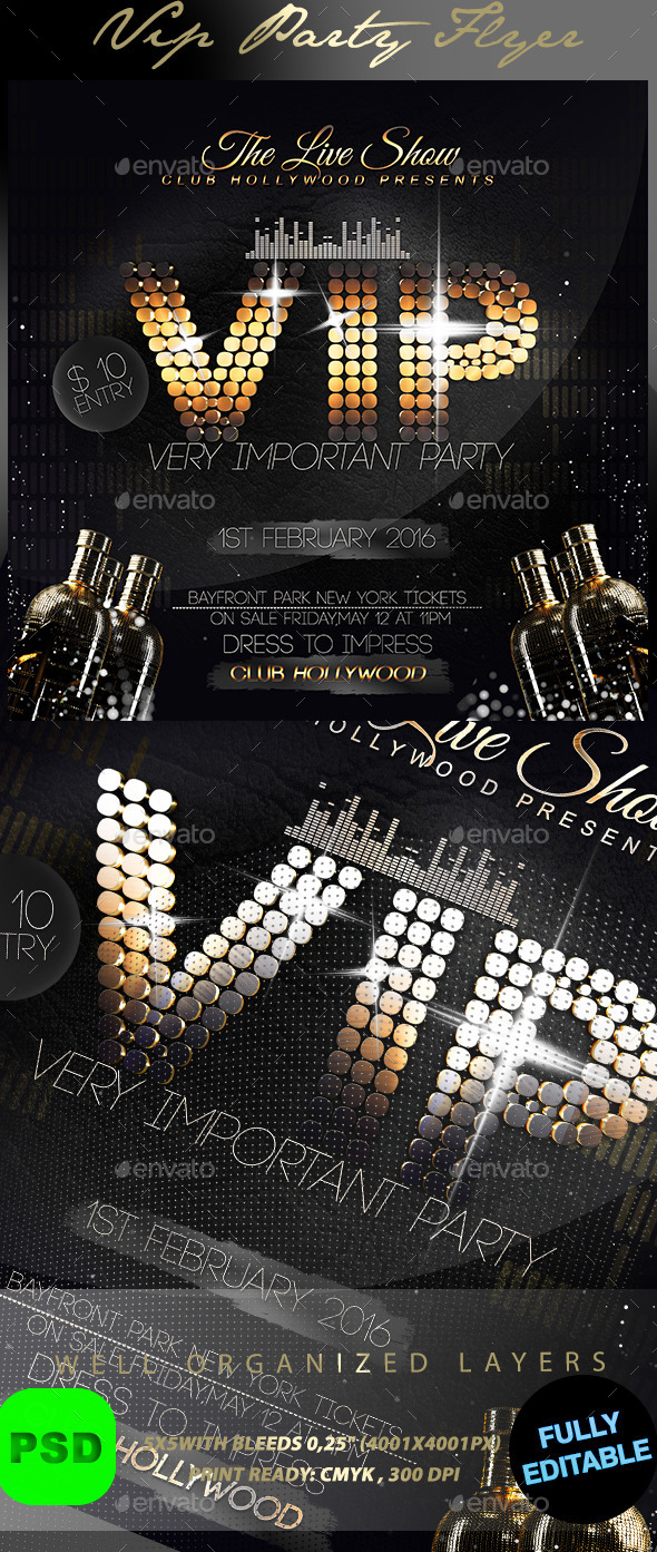 VIP Party, Print Templates | GraphicRiver
