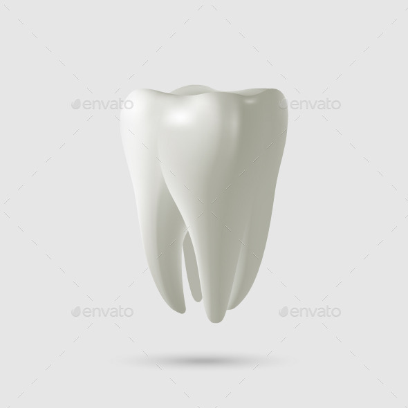 Tooth, Vectors | GraphicRiver