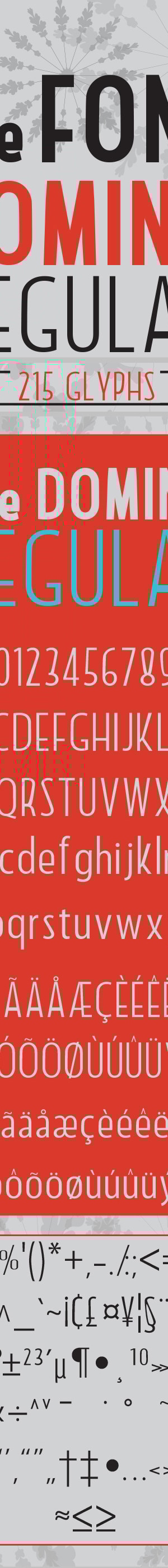 Domino Regular, Fonts | GraphicRiver