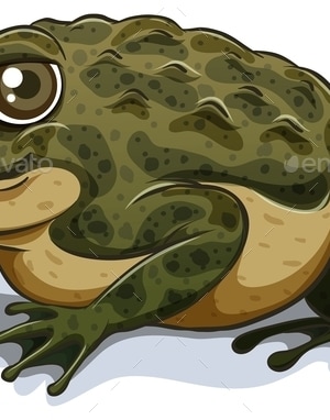 Toad, Vectors | GraphicRiver