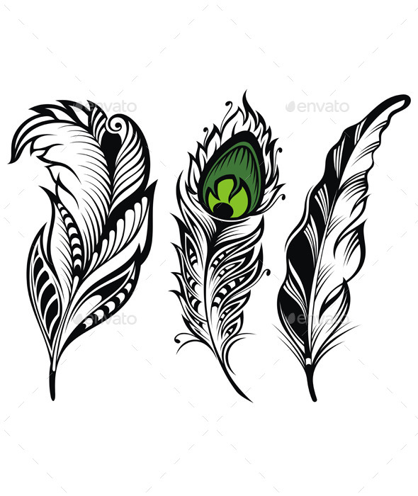 Vector Isolated Feathers, Vectors | GraphicRiver