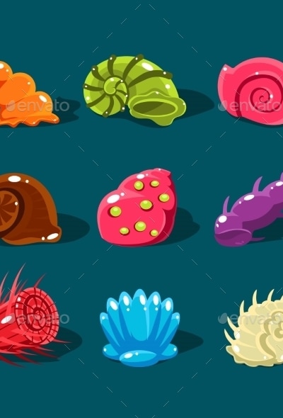 Vector Collection Of Colorful Shells, Vectors | GraphicRiver