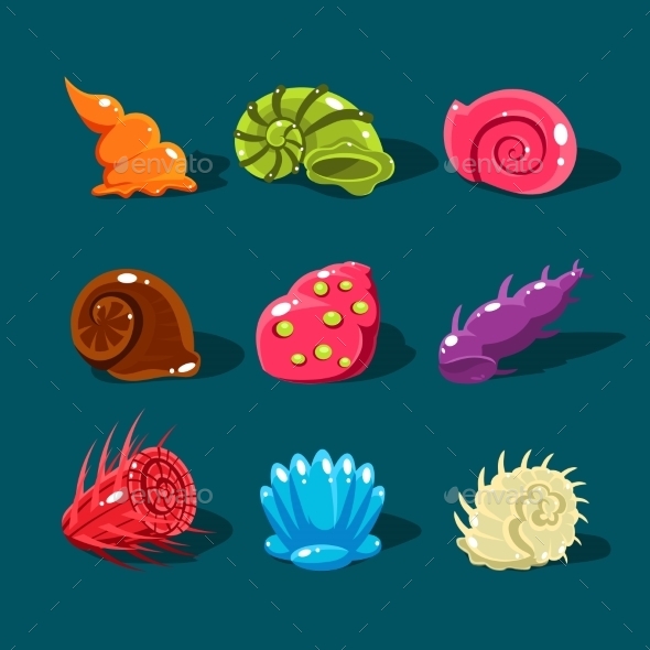 Vector Collection Of Colorful Shells, Vectors | GraphicRiver