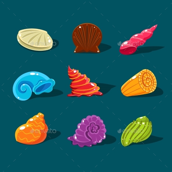 Vector Collection Of Colorful Shells, Vectors | GraphicRiver