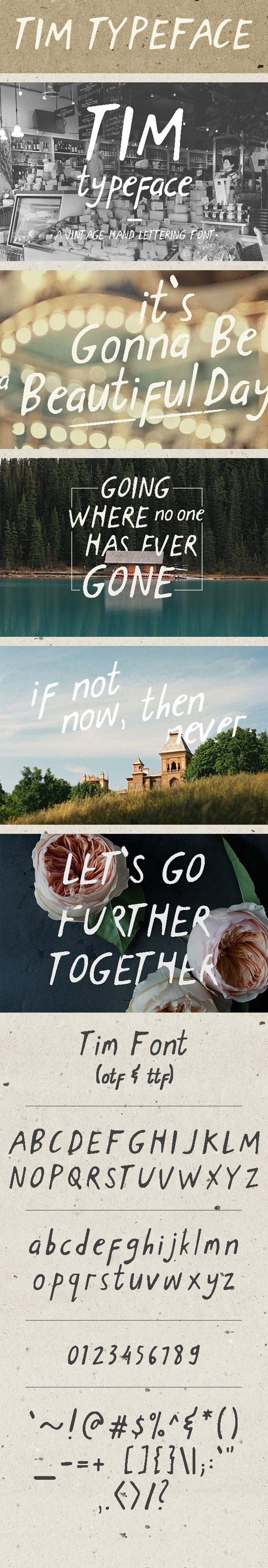 Tim, Fonts | GraphicRiver