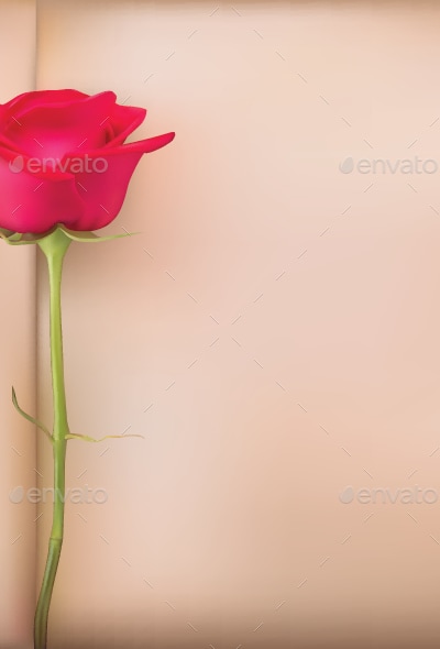 Rose Background, Vectors | GraphicRiver