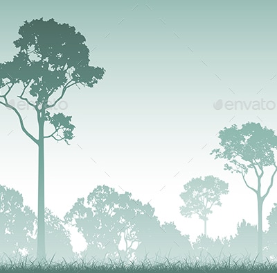 Forest Landscape, Vectors | GraphicRiver