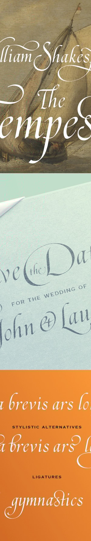 November Script, Fonts | GraphicRiver