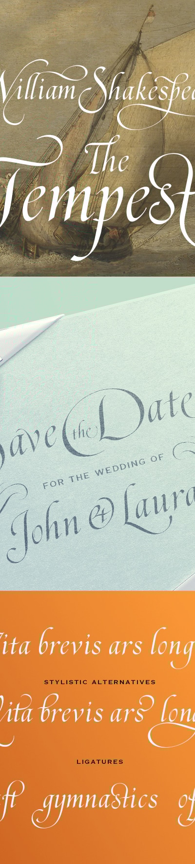 November Script, Fonts | GraphicRiver