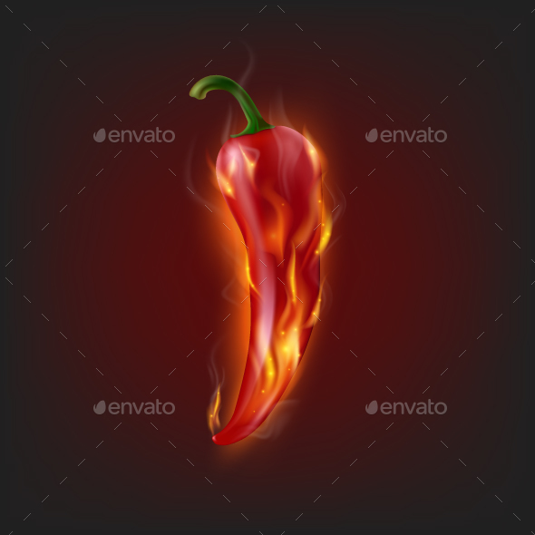 Burning Chilli Pepper, Vectors | GraphicRiver