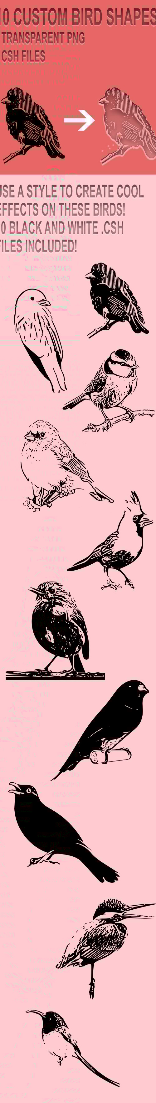 10 Custom Bird Shapes, Add-ons | GraphicRiver