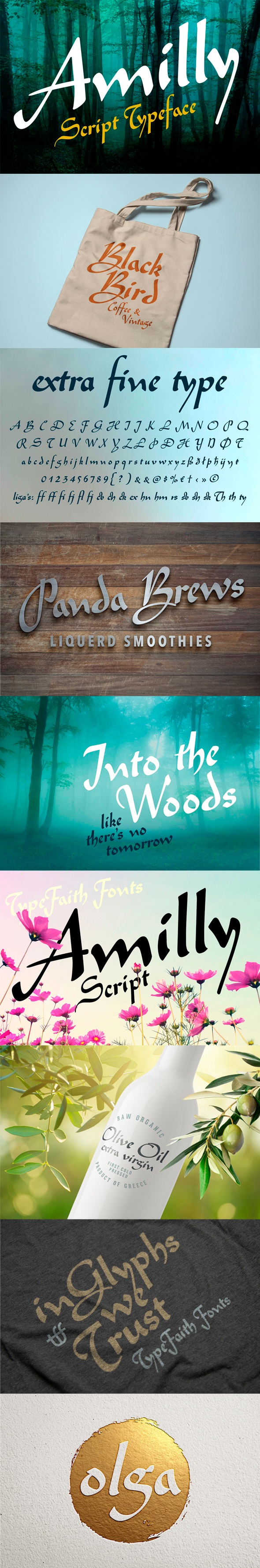 Amilly Script - Script Fonts