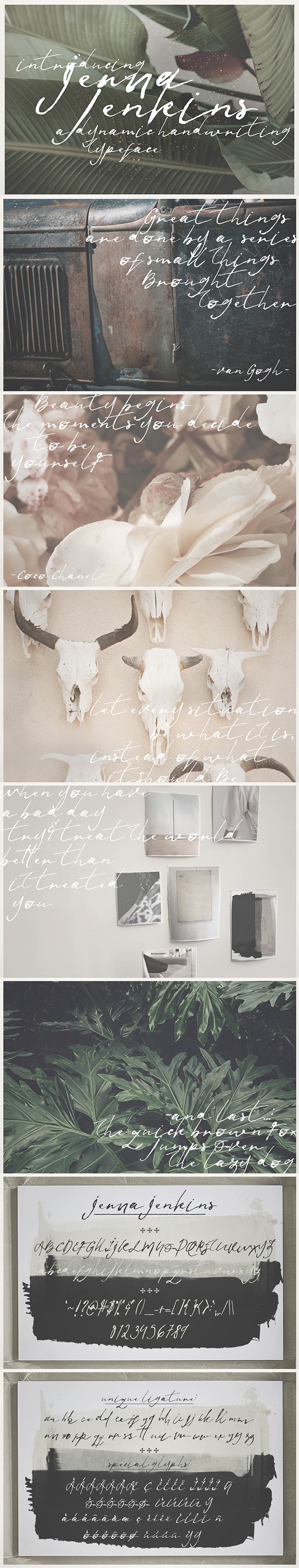 Jenna Jenkins, Fonts | GraphicRiver