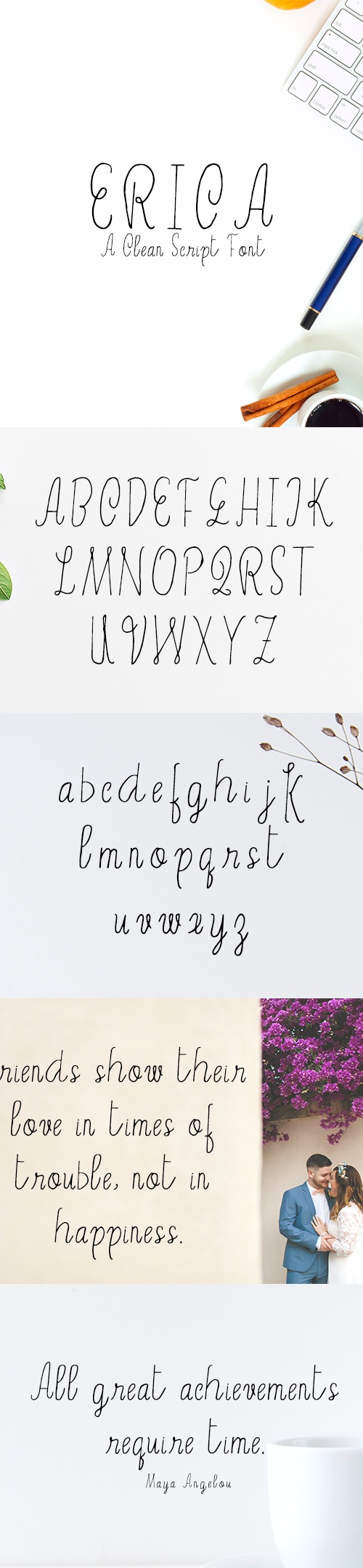 Erica Script Font, Fonts | GraphicRiver