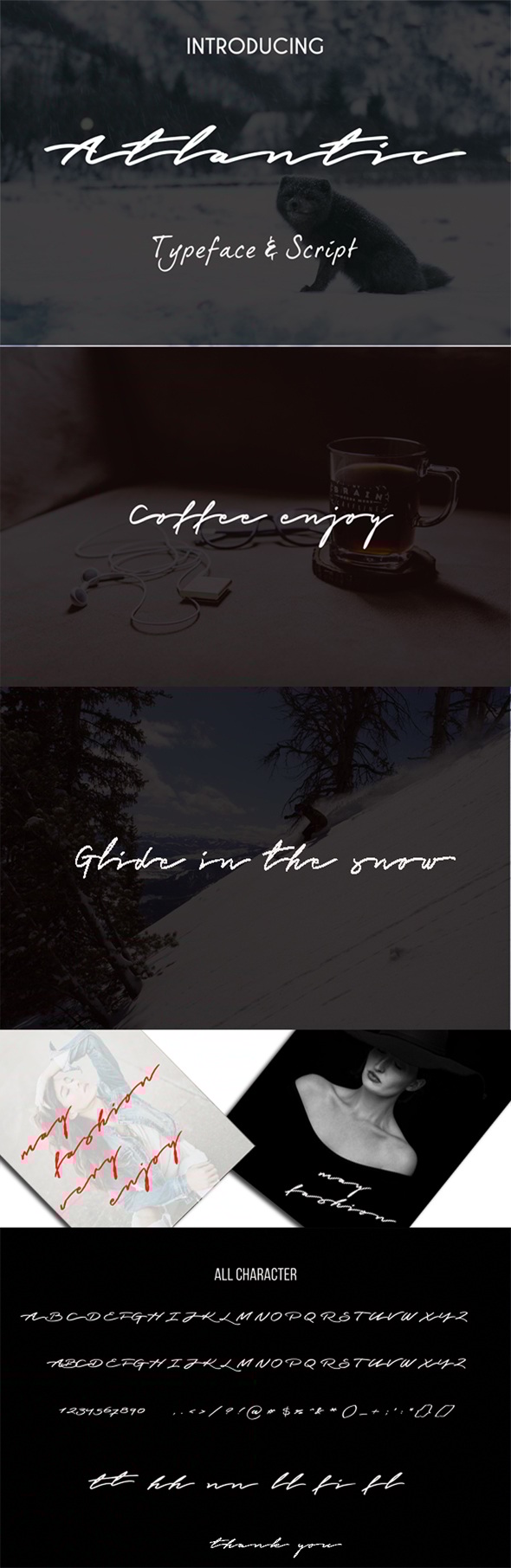 Atlantic Script, Fonts | GraphicRiver