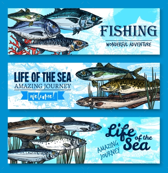 Vector Fish Banners for Sea Fishing Adventure, Vectors | GraphicRiver