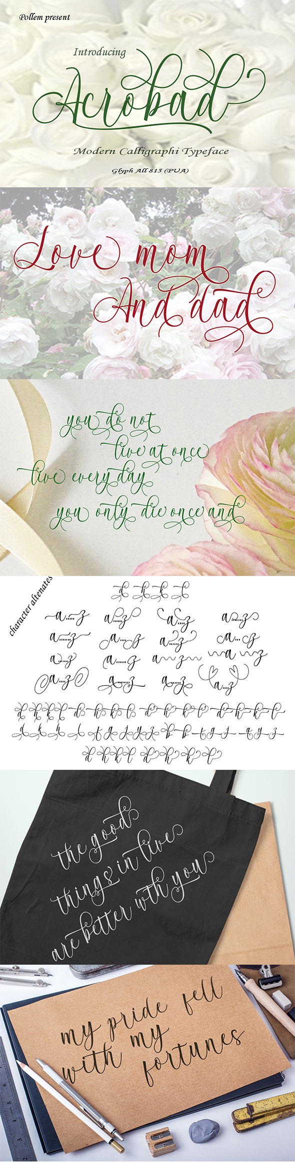 Acrobad, Fonts | GraphicRiver