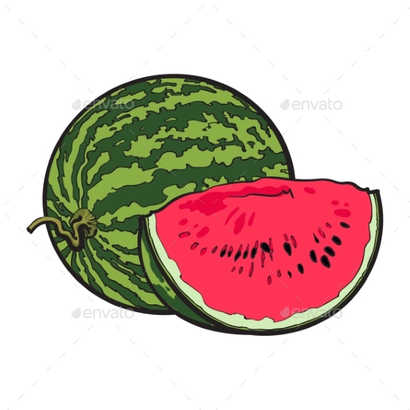 Ripe and Juicy Watermelon Isolated on White, Vectors | GraphicRiver