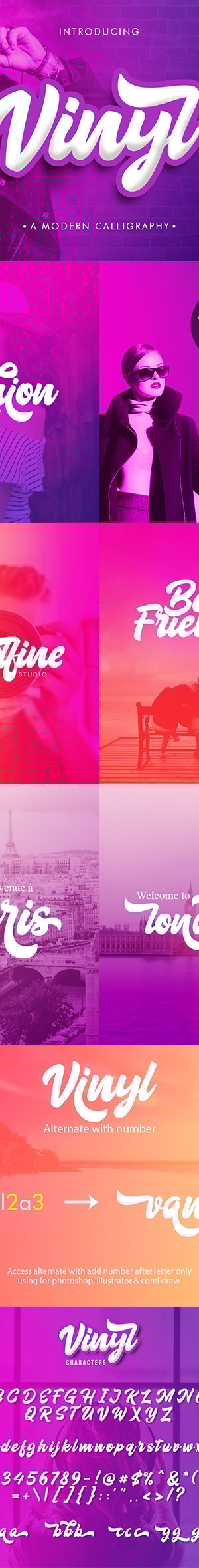 Vinyl Script, Fonts | GraphicRiver