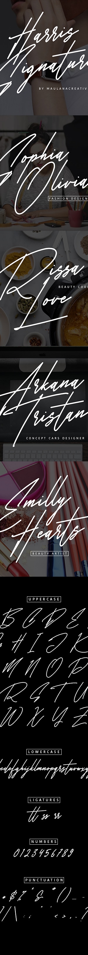Harris Signature Typeface, Fonts | GraphicRiver