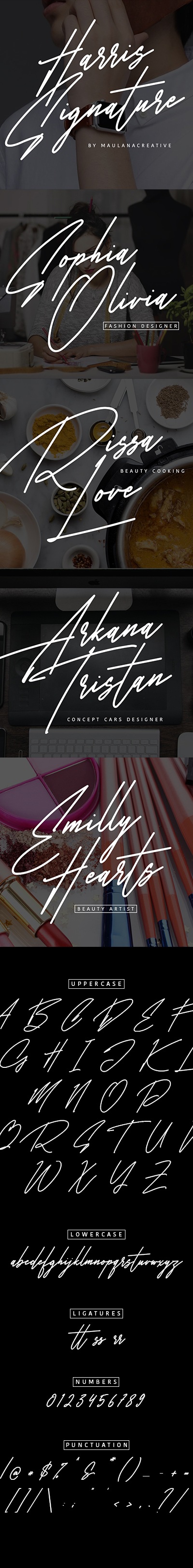 Harris Signature Typeface, Fonts | GraphicRiver