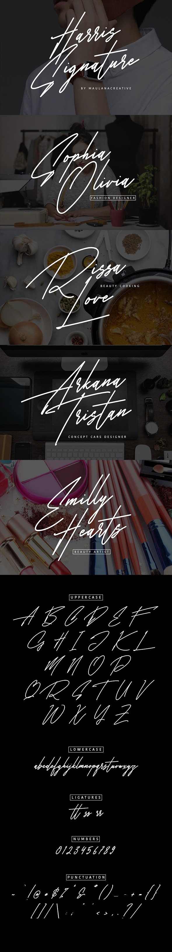 Harris Signature Typeface, Fonts | GraphicRiver