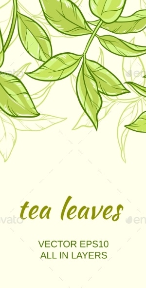 Tea, Vectors | GraphicRiver