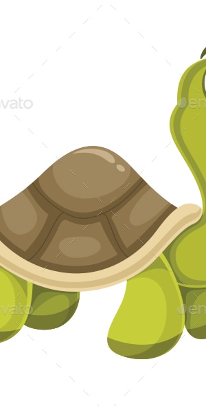 Turtle Vector Illustration, Vectors | GraphicRiver