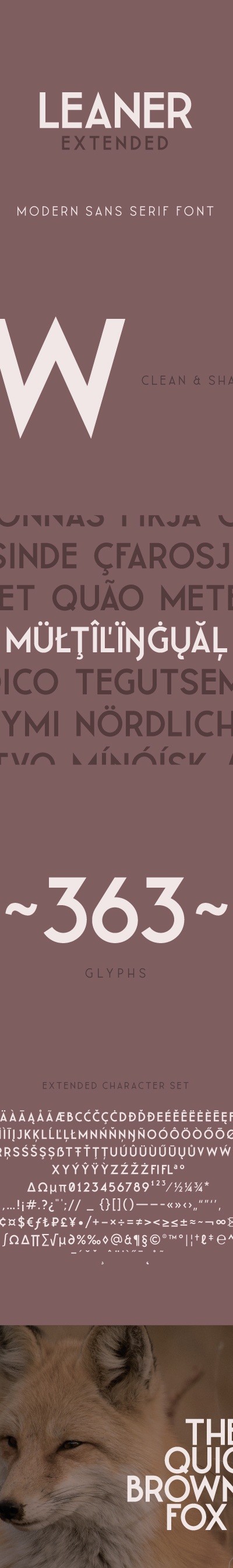 LEANER Extended -Bold, Fonts | GraphicRiver