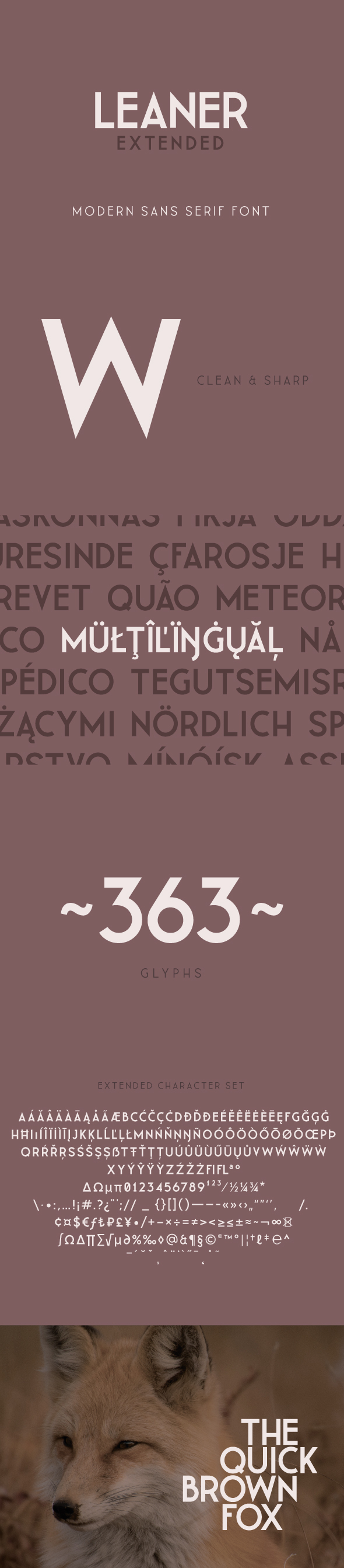 LEANER Extended -Bold, Fonts | GraphicRiver