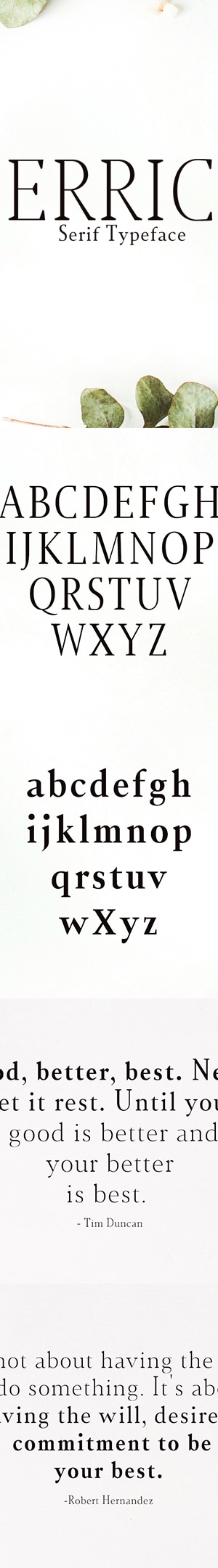 Jerrick Serif 6 Font Pack, Fonts | GraphicRiver