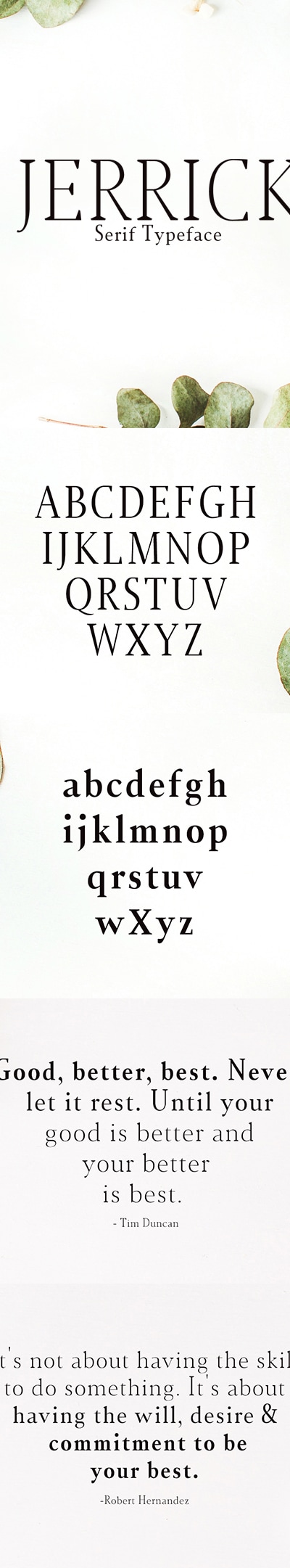Jerrick Serif 6 Font Pack, Fonts | GraphicRiver