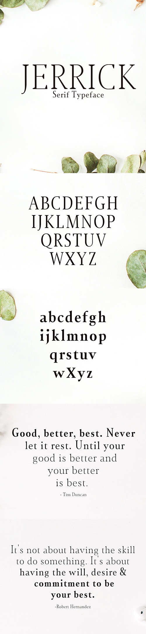 Jerrick Serif 6 Font Pack, Fonts | GraphicRiver