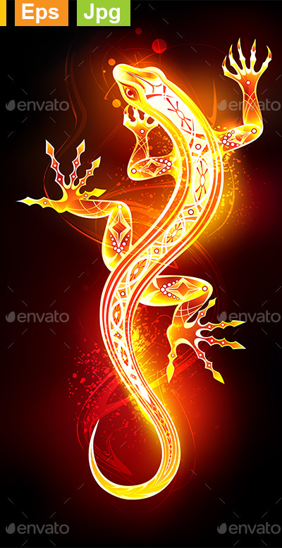 Salamander, Vectors | GraphicRiver