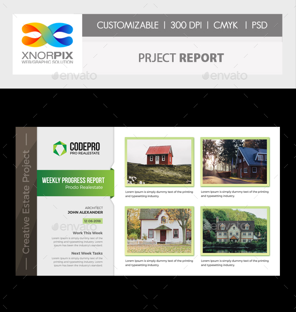 Project Report, Web Elements | GraphicRiver