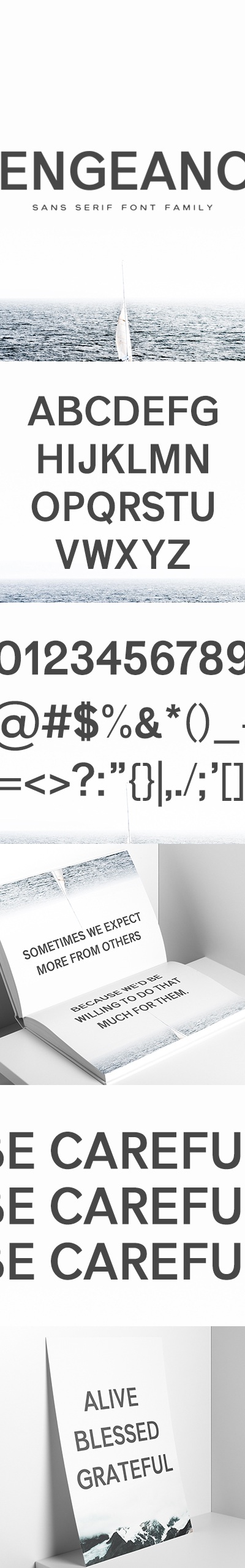 Vengeance Sans Serif Font Family, Fonts | GraphicRiver