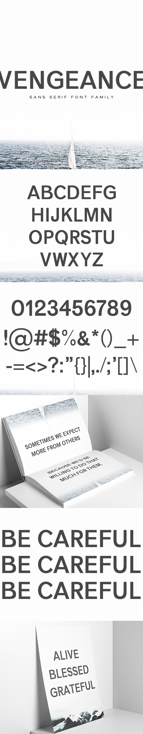Vengeance Sans Serif Font Family, Fonts | GraphicRiver