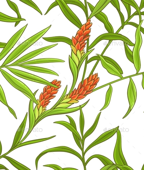 Ginger Vector Pattern, Vectors | GraphicRiver