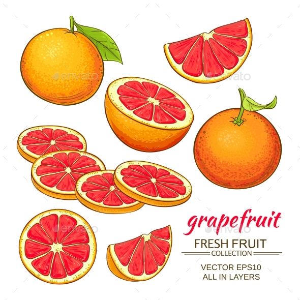 Grapefruit Vector Set, Vectors | GraphicRiver