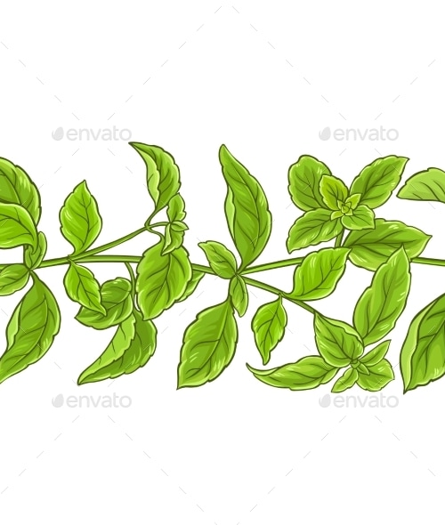Basil Plant Vector Pattern, Vectors | GraphicRiver